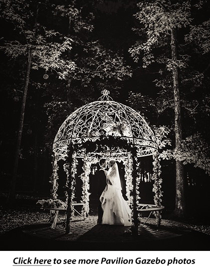 pavilion wedding gazeebo