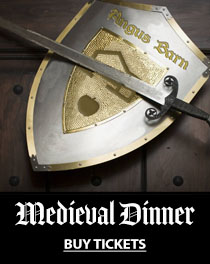 Medieval Dinner